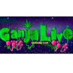 Конкурс «Ganjalive Cup 2019 - Outdoor»