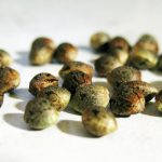 Фотопериодные и автоцветущие регулярные семена конопли