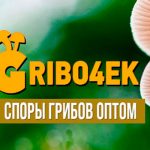 Споры грибов оптом