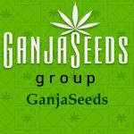 GanjaSeeds