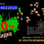 GanjaSeeds: В день всех влюбленных скидка 20%