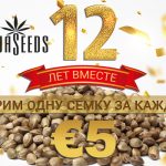 Бесплатные семки GanjaSeeds ко дню рождения!