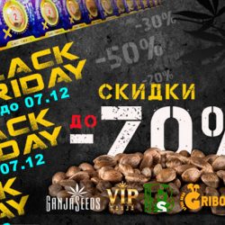 На GanjaSeeds Black Friday вся неделя, до 07.12.20 скидки до 70%!