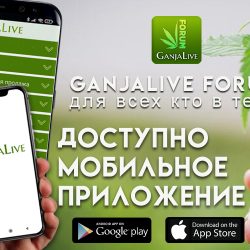 Приложение GanjaLive