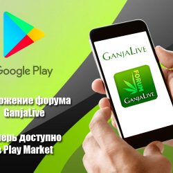 Скачайте приложение форума GanjaLive в Google Play и сделайте общение комфортнее