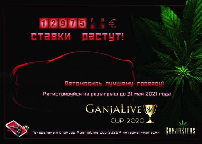 «GanjaLive Cup 2020» - приз растет и времени все меньше!