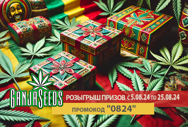 Финальная лотерея лета от GanjaSeeds