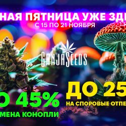 Неделя скидок к Чёрной Пятнице в GanjaSeeds!