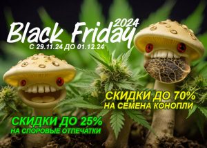 GanjaSeeds: Черная Пятница 2024 – скидки до 70%!