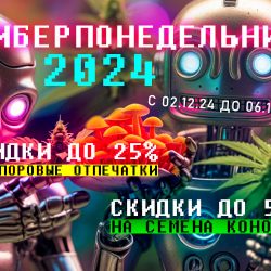 Киберпонедельник – скидки до 50%!