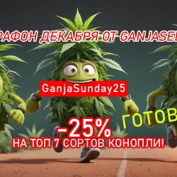 Марафон декабря от GanjaSeeds! Готовы?