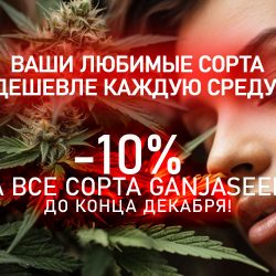 GanjaSeeds: Ваши любимые сорта дешевле каждую среду!