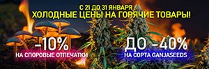 Холодные цены на горячие товары!