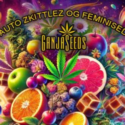 Auto Zkittlez OG feminised GanjaSeeds - баланс индики и сативы