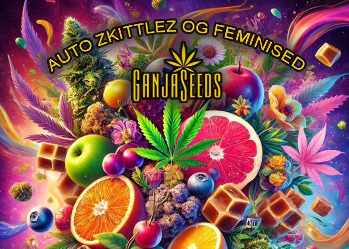 Auto Zkittlez OG feminised GanjaSeeds - баланс индики и сативы