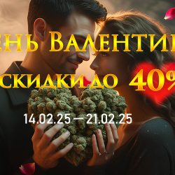 День Валентина – время лучших предложений!