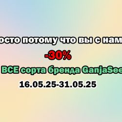 -30% на все сорта GanjaSeeds — просто потому что вы с нами!