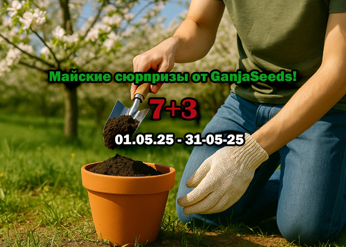 Майские сюрпризы от GanjaSeeds!