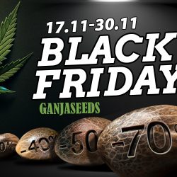 ЧЕРНАЯ ПЯТНИЦА 2025 — скидки до 70%!